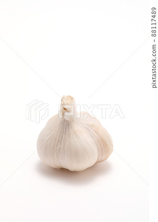 Garlic Garlic 88117489