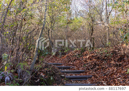 日本岡山縣笠岡市木島美麗的風景 88117697