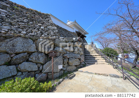 Sunny Mikawa country "Hamamatsu castle" castle tower and Ishigaki 88117742