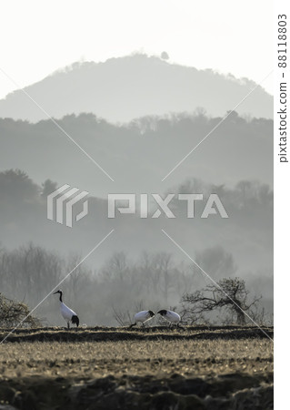 香遠亭 香遠亭 88118803