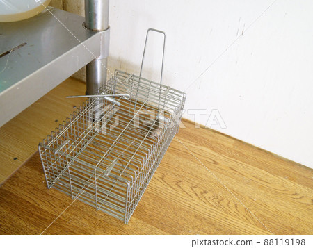 設置在水周圍的陷阱 88119198