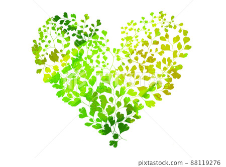 A green heart drawn with Adiantum leaves 88119276