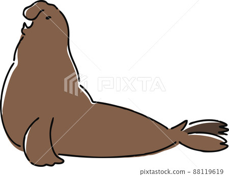 手繪像海豹插畫 88119619