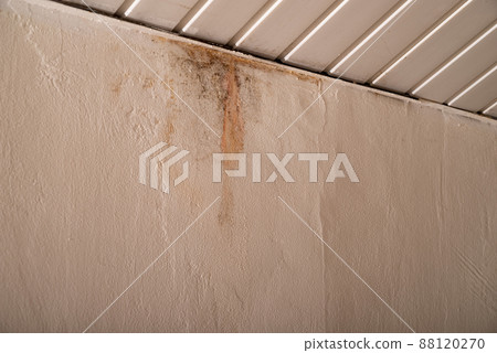 Flooding rainwater or floor heating systems, causing damage, peeling paint and mildew 88120270