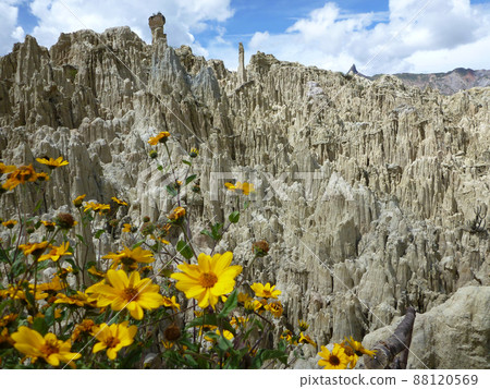 玻利維亞拉巴斯附近的旅遊勝地 Valle de la Luna 天然侵蝕的奇異岩石上閃耀著黃色花朵 88120569