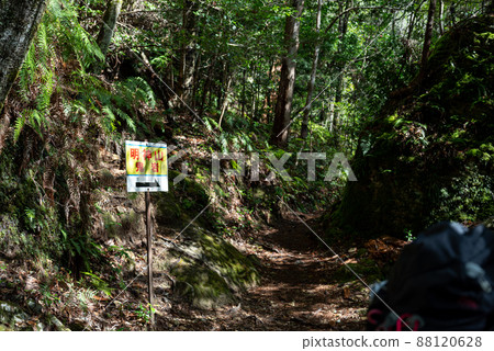 去知岩吧 去知岩吧 88120628