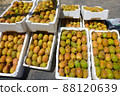Yellow fruit of edible prickly pear cactus for sale at a stall 88120639