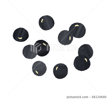 Black bean  88120680