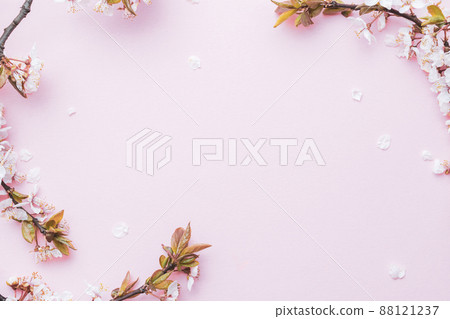 Spring background may flowers and April floral nature on pink background. Branches of blossoming apricot macro with soft focus. For easter and spring greeting cards with copy space. Springtime. Spring background may flowers and April floral nature on pink background. Branches of blossoming apricot macro with soft focus. For easter and spring greeting cards with copy space. Springtime. 88121237