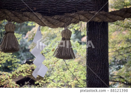 Shrine licks Shrine licks 88121398