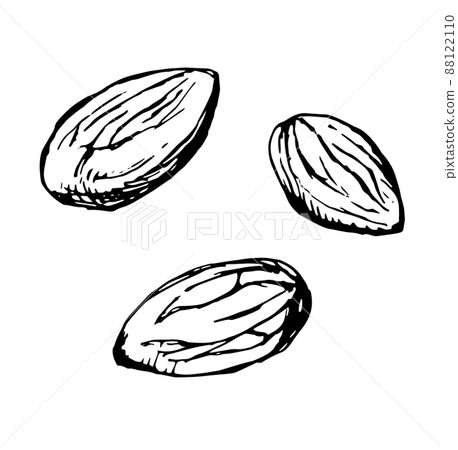 多個 almonds_line 繪圖單色插圖 88122110