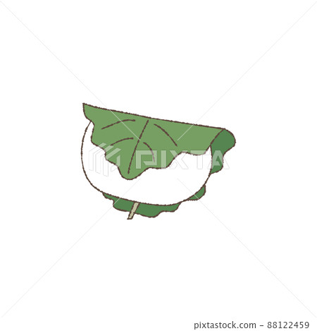 Illustration (with main lines) 88122459