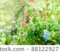 Small pastel flowers blooming on the roadside 88122927