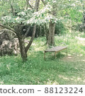 Park trees, sunbeams and benches 88123224