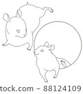 Golden hamster (coloring page) 88124109