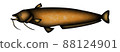 catfish 88124901