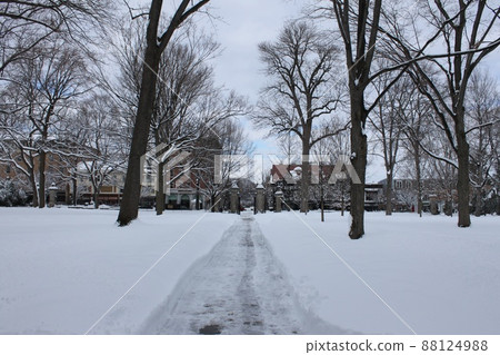 普林斯頓大學 88124988