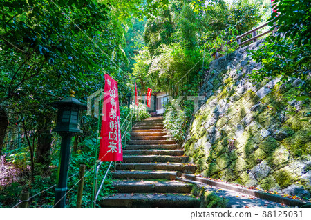 Fukuoji Yakushido in Yakushiike Park (Machida City, Tokyo) 88125031