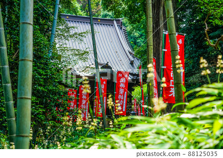Fukuoji Yakushido in Yakushiike Park (Machida City, Tokyo) 88125035