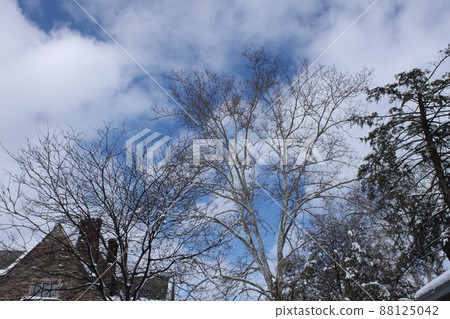 Princeton University Princeton University 88125042
