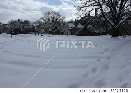 普林斯頓大學冬季景觀 普林斯頓大學冬季景觀 88125118