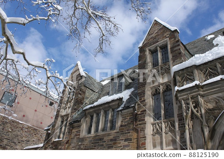 Princeton University winter landscape Princeton University winter landscape 88125190