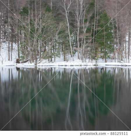 Mishaka Pond in winter with the surrounding trees reflected in the clear water Mishaka Pond in winter with the surrounding trees reflected in the clear water 88125511