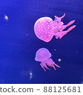 Cute octopus jellyfish 88125681
