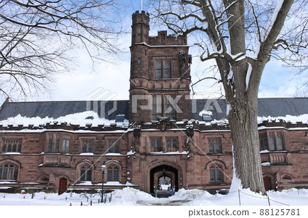 普林斯頓大學的雪景 88125781
