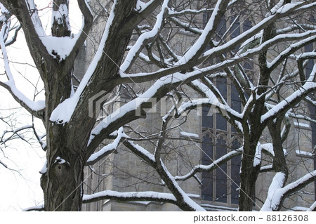 普林斯頓大學的雪景 普林斯頓大學的雪景 88126308