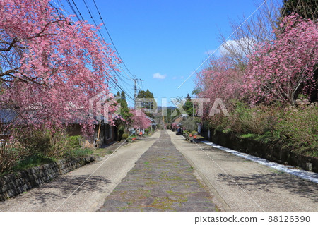 Spring Imaichi stone pavement Ⅲ 88126390