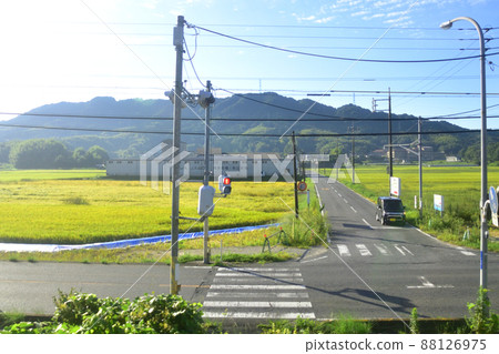 2021 年。從山陽本線德山站到岩國站的火車窗晨景 88126975