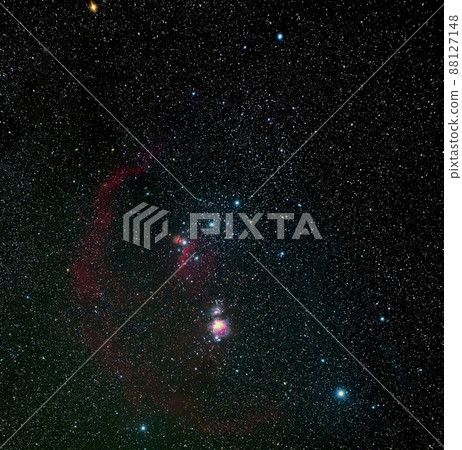 獵戶座 88127148