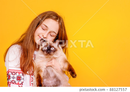 Teen girl with a cat in her arms. Girl on a yellow background. The child in an embroidered shirt. Teen girl with a cat in her arms. Girl on a yellow background. The child in an embroidered shirt. 88127557