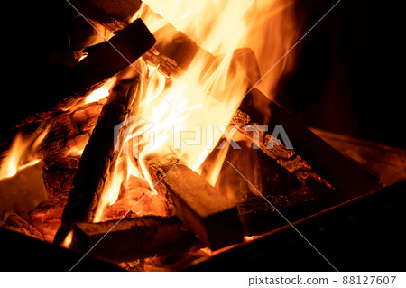 Bonfire Camp Sakai 88127607