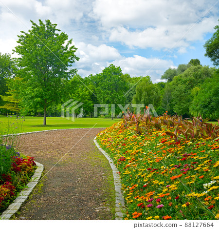 Beautiful meadow with flowers and path in public park. Beautiful meadow with flowers and path in public park. 88127664