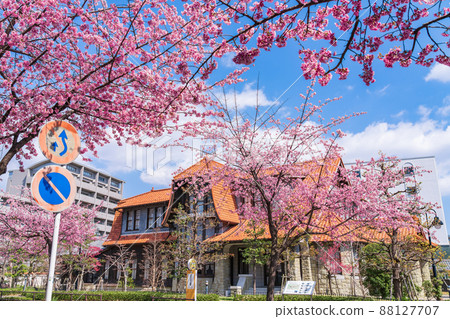 Spring Culture Path Futaba Museum, Okanzakura in full bloom <Nagoya City, Aichi Prefecture> Spring Culture Path Futaba Museum, Okanzakura in full bloom <Nagoya City, Aichi Prefecture> 88127707