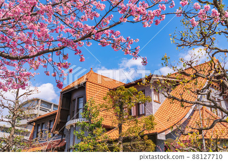 Spring Culture Path Futaba Museum, Okanzakura in full bloom <Nagoya City, Aichi Prefecture> Spring Culture Path Futaba Museum, Okanzakura in full bloom <Nagoya City, Aichi Prefecture> 88127710