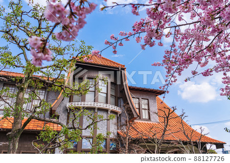 Spring Culture Path Futaba Museum, Okanzakura in full bloom <Nagoya City, Aichi Prefecture> Spring Culture Path Futaba Museum, Okanzakura in full bloom <Nagoya City, Aichi Prefecture> 88127726