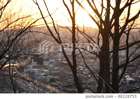 2022年3月下旬櫻花景色 2022年3月下旬櫻花景色 88128753