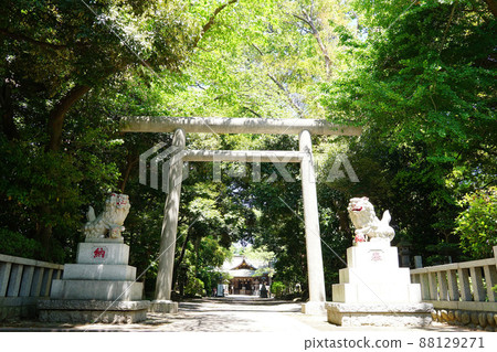 Front Bird Shrine 88129271