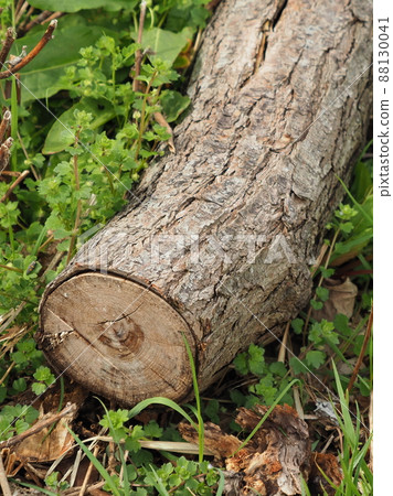 木柴的圖像(用於露營等) 木柴的圖像(用於露營等) 88130041