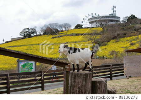 母親農場的動物 母親農場的動物 88130278