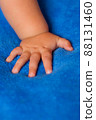Child's hand on the veil 88131460