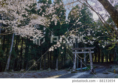 春大石神社(鹿兒島縣薩摩郡薩摩町中津川) 春大石神社(鹿兒島縣薩摩郡薩摩町中津川) 88131654