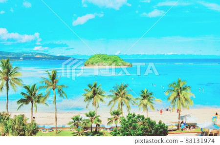 有棕櫚樹的熱帶海灘 88131974