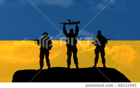 Flag of the Ukraine in original proportions 88132495