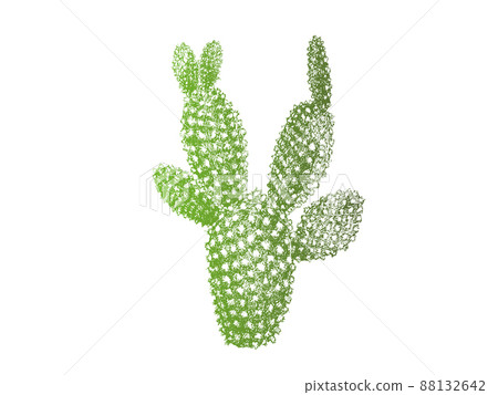 Vector image of a cactus drawn in detail with line art and colored 88132642