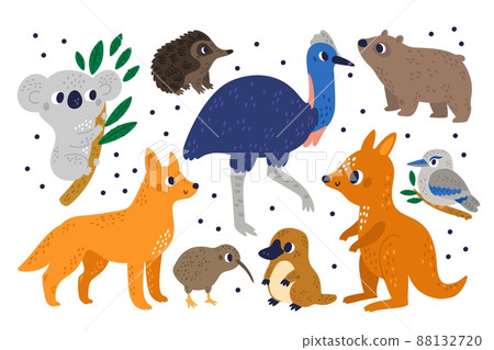 Cute Australian exotic animals. Cartoon marsupial mammals and birds. Strange characters. Kiwi and kookaburra. Kangaroo or wombat. Ostrich koala and platypus. Dingo dog. Vector fauna set 88132720