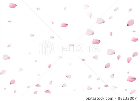 Sakura petals. Cherry petals backdrop Sakura petals. Cherry petals backdrop 88132807